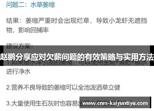 赵鹏分享应对欠薪问题的有效策略与实用方法