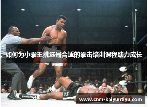 如何为小拳王挑选最合适的拳击培训课程助力成长