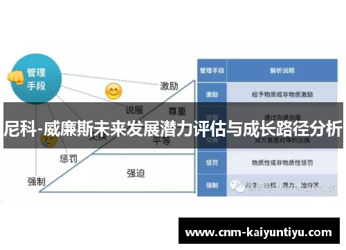 尼科-威廉斯未来发展潜力评估与成长路径分析 尼科-威廉斯未来发展潜力评估与成长路径分析