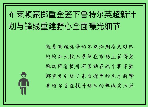 布莱顿豪掷重金签下鲁特尔英超新计划与锋线重建野心全面曝光细节